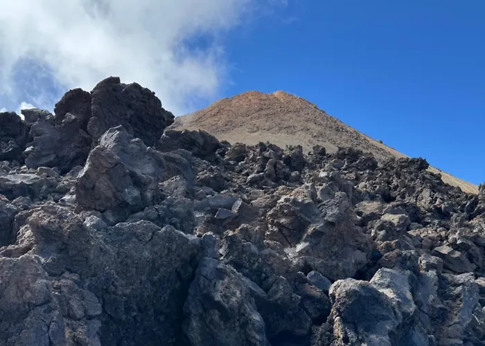Island Paradise A With A Kitchenette, Private Bathroom And Balcony, In A Complex With 3 Swimming Pools, 800m Away From The Ocean Front 公寓 圣米格尔德阿沃纳