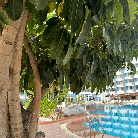 Island Paradise A With A Kitchenette, Private Bathroom And Balcony, In A Complex With 3 Swimming Pools, 800m Away From The Ocean Front *