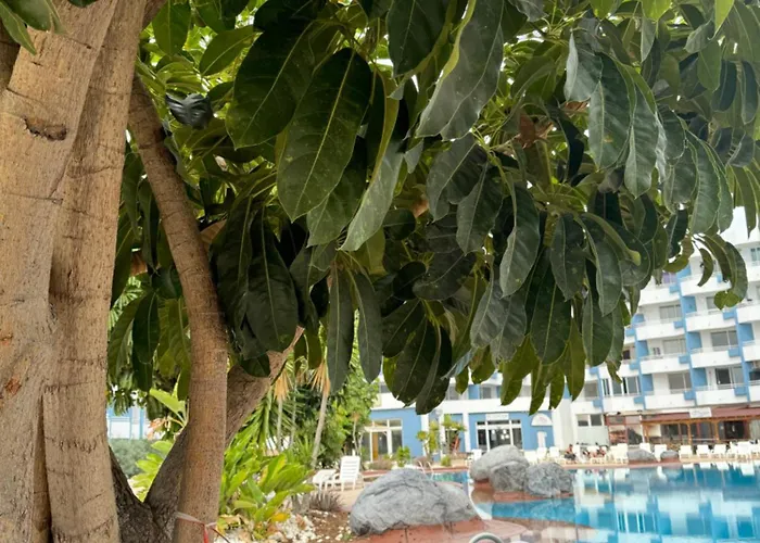 Island Paradise A With A Kitchenette, Private Bathroom And Balcony, In A Complex With 3 Swimming Pools, 800m Away From The Ocean Front *